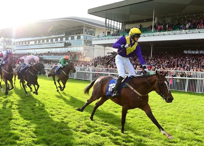 Travelodge Отель 3*